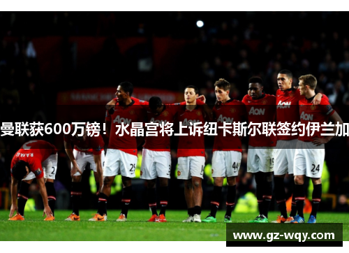 曼联获600万镑！水晶宫将上诉纽卡斯尔联签约伊兰加