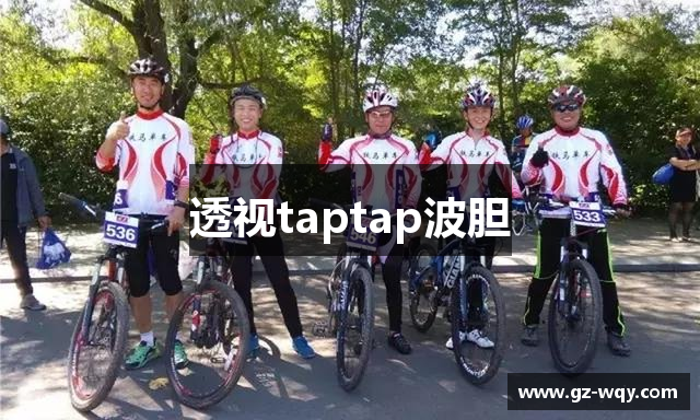 透视taptap波胆